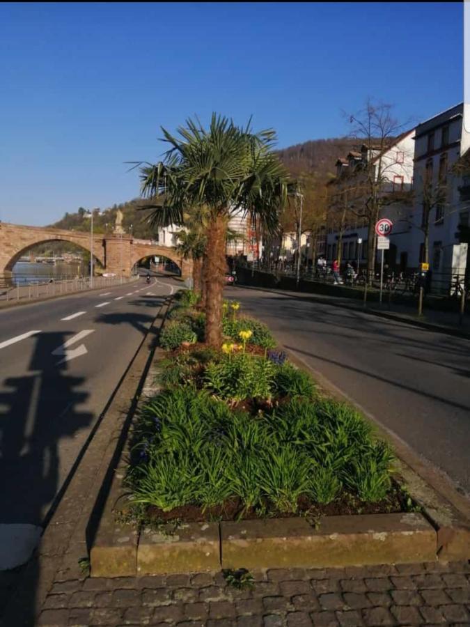 Ferienwohnung Tinas Beauty Neckarsteinach Eksteriør billede