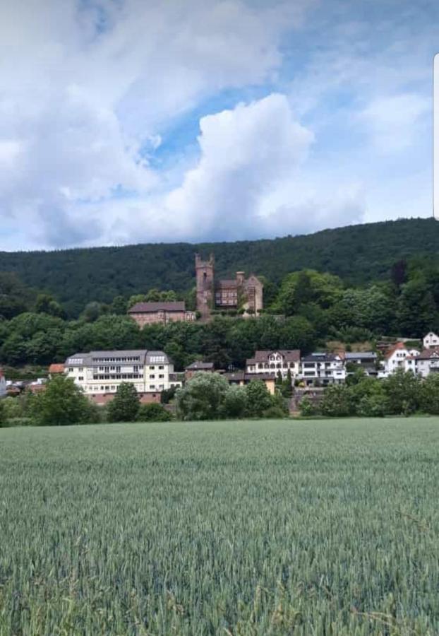 Ferienwohnung Tinas Beauty Neckarsteinach Eksteriør billede