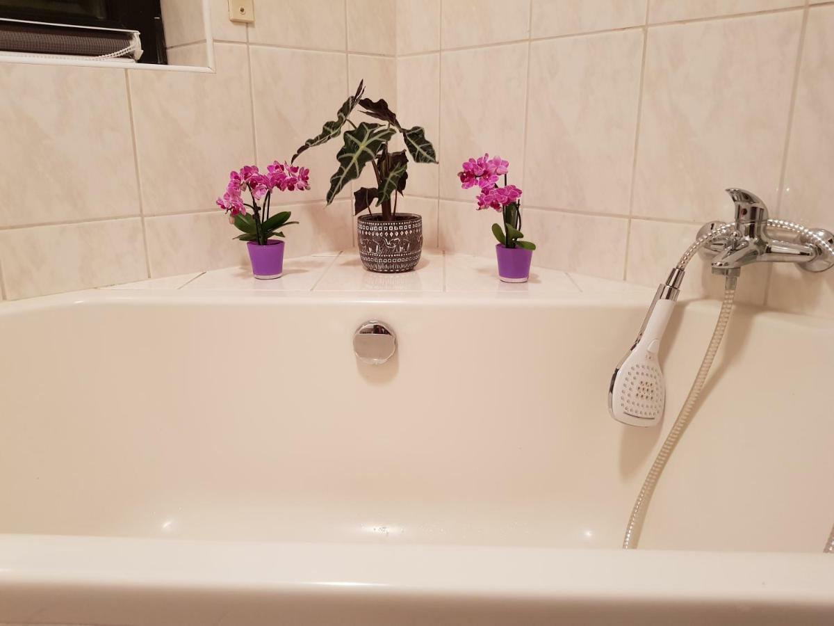 Ferienwohnung Tinas Beauty Neckarsteinach Eksteriør billede