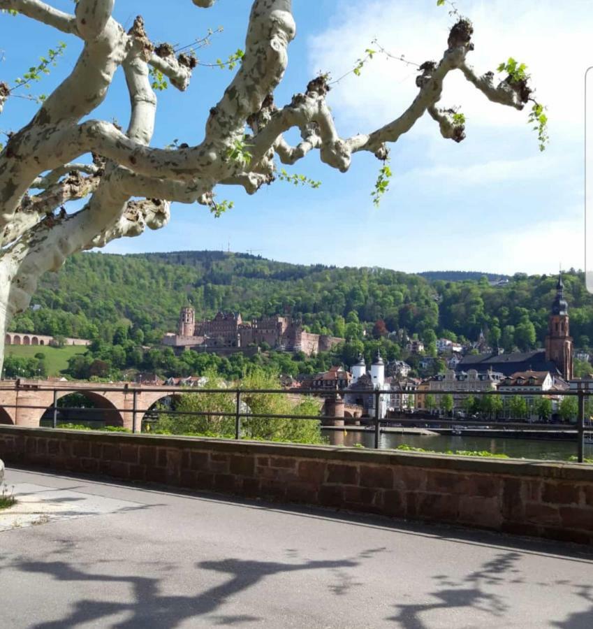 Ferienwohnung Tinas Beauty Neckarsteinach Eksteriør billede