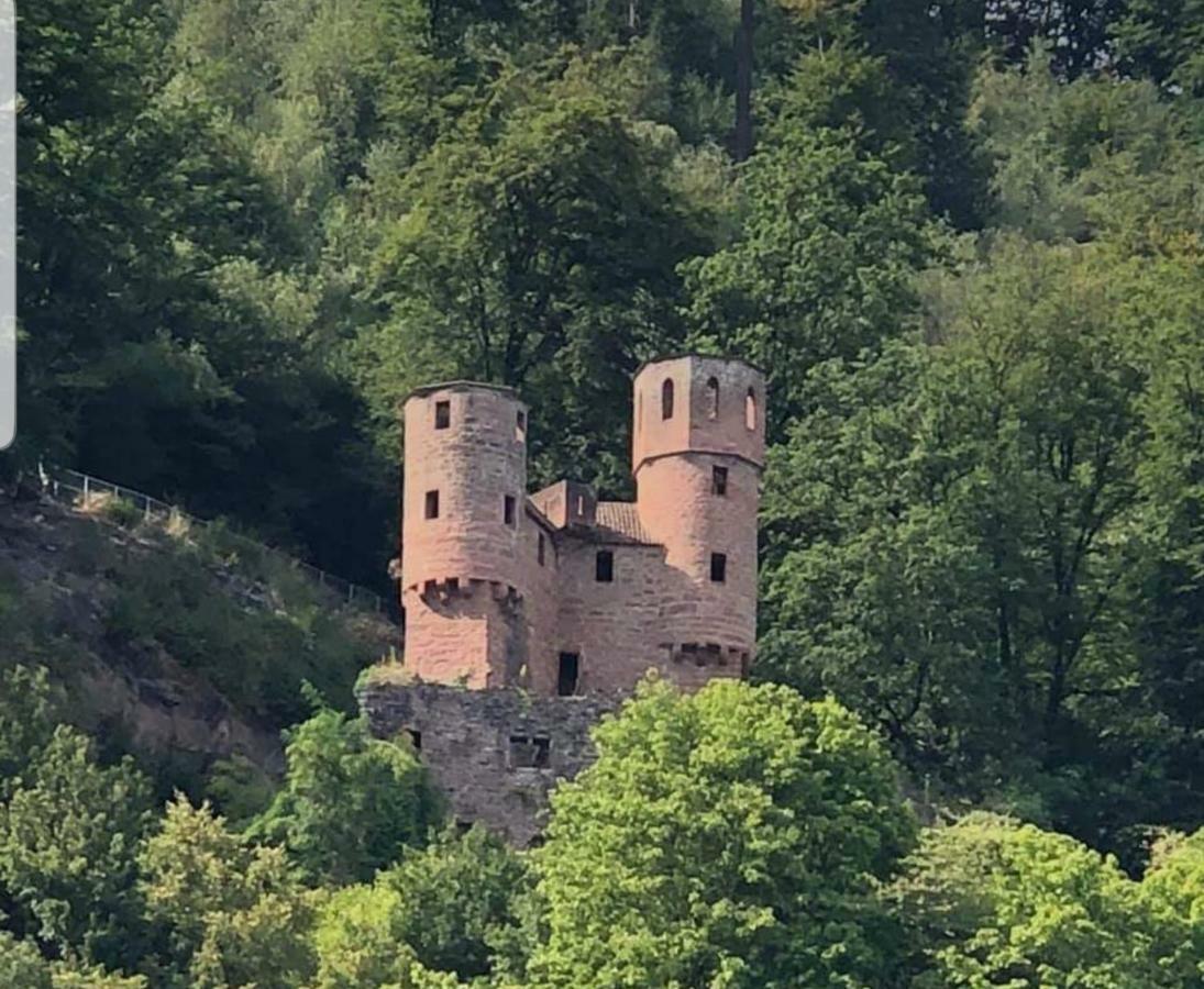 Ferienwohnung Tinas Beauty Neckarsteinach Eksteriør billede